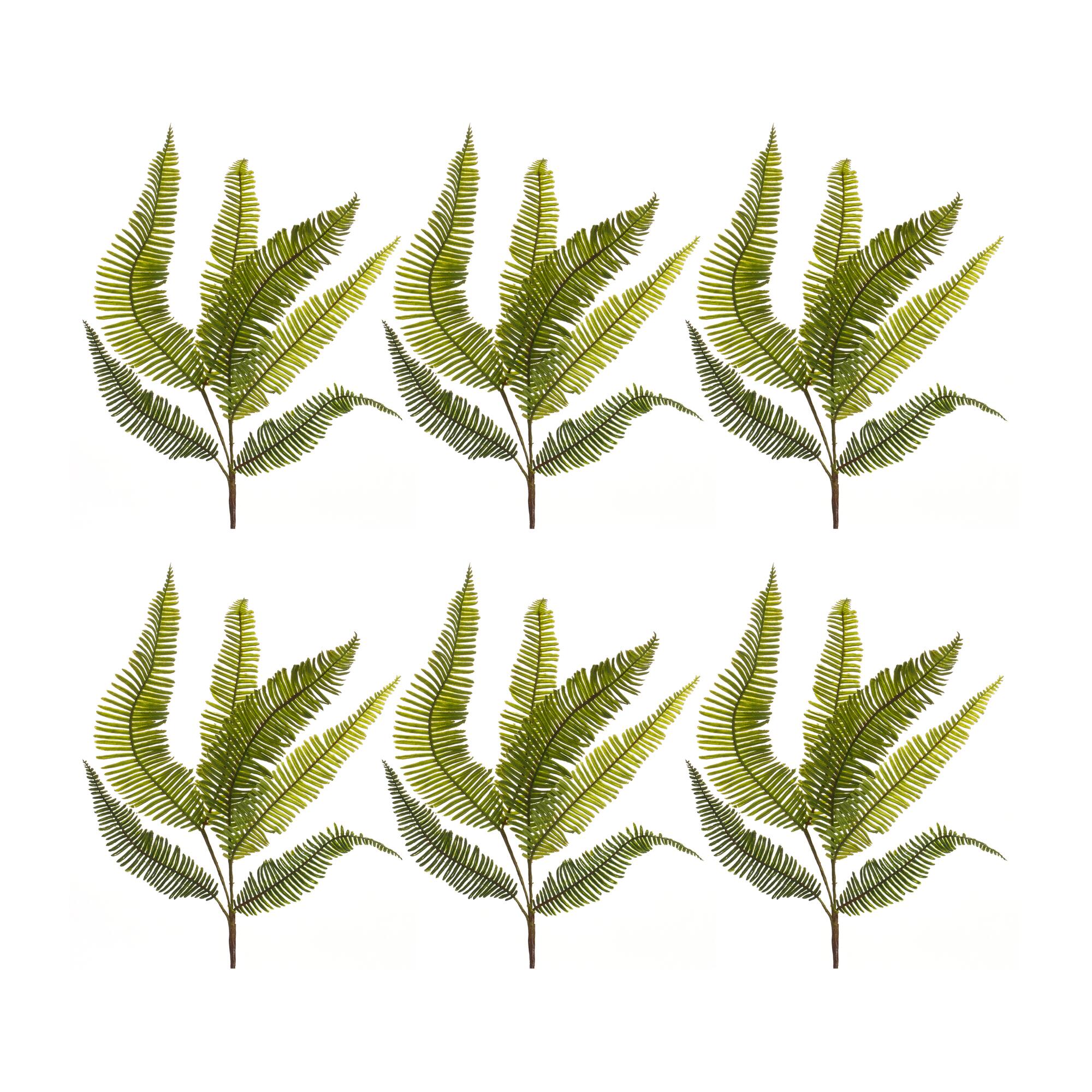 Fern Spray, 6ct.